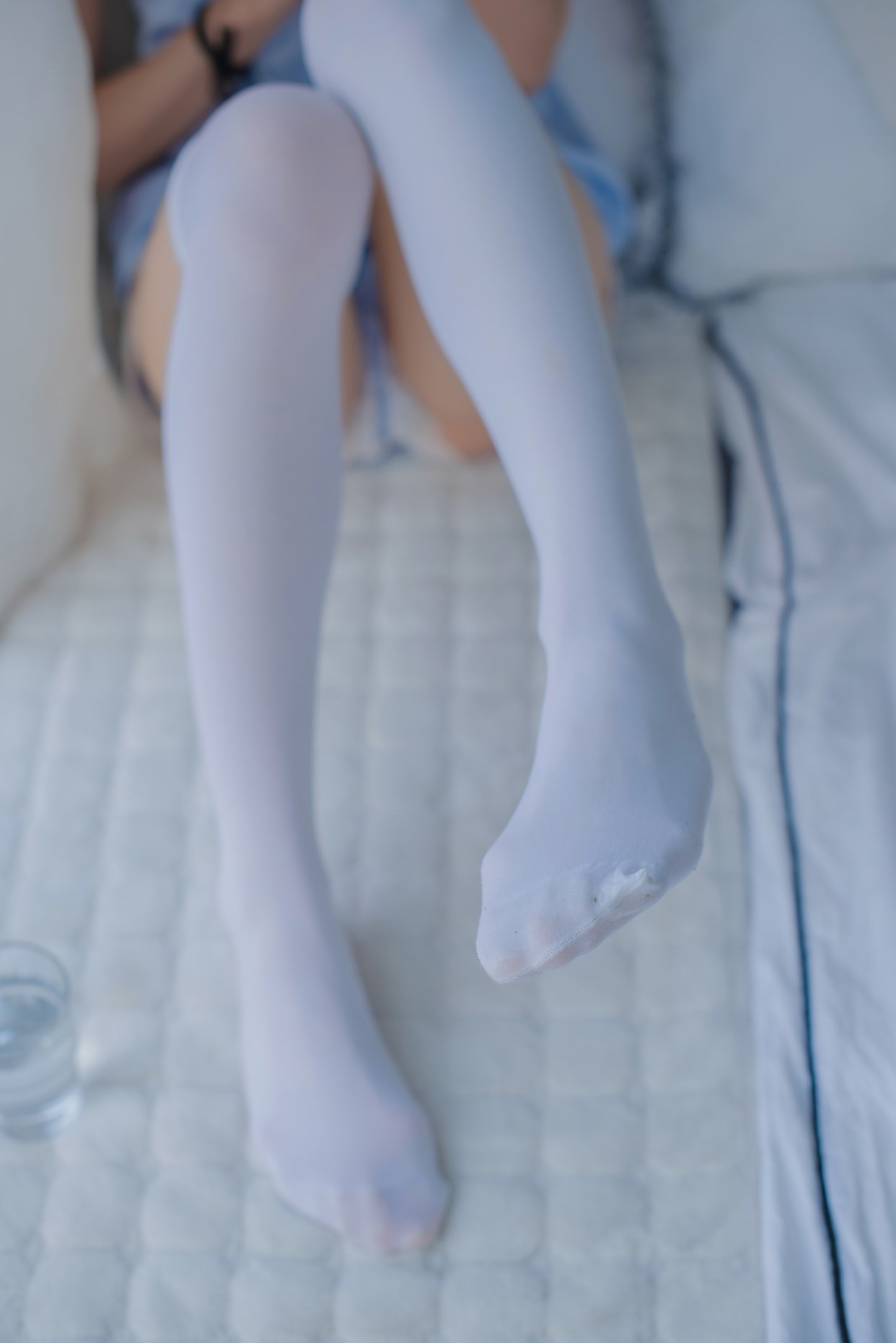 可爱的桔子酱