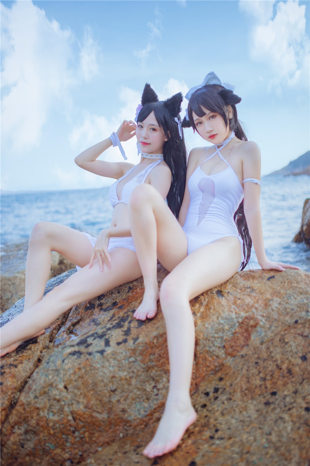 獒犬海边泳装