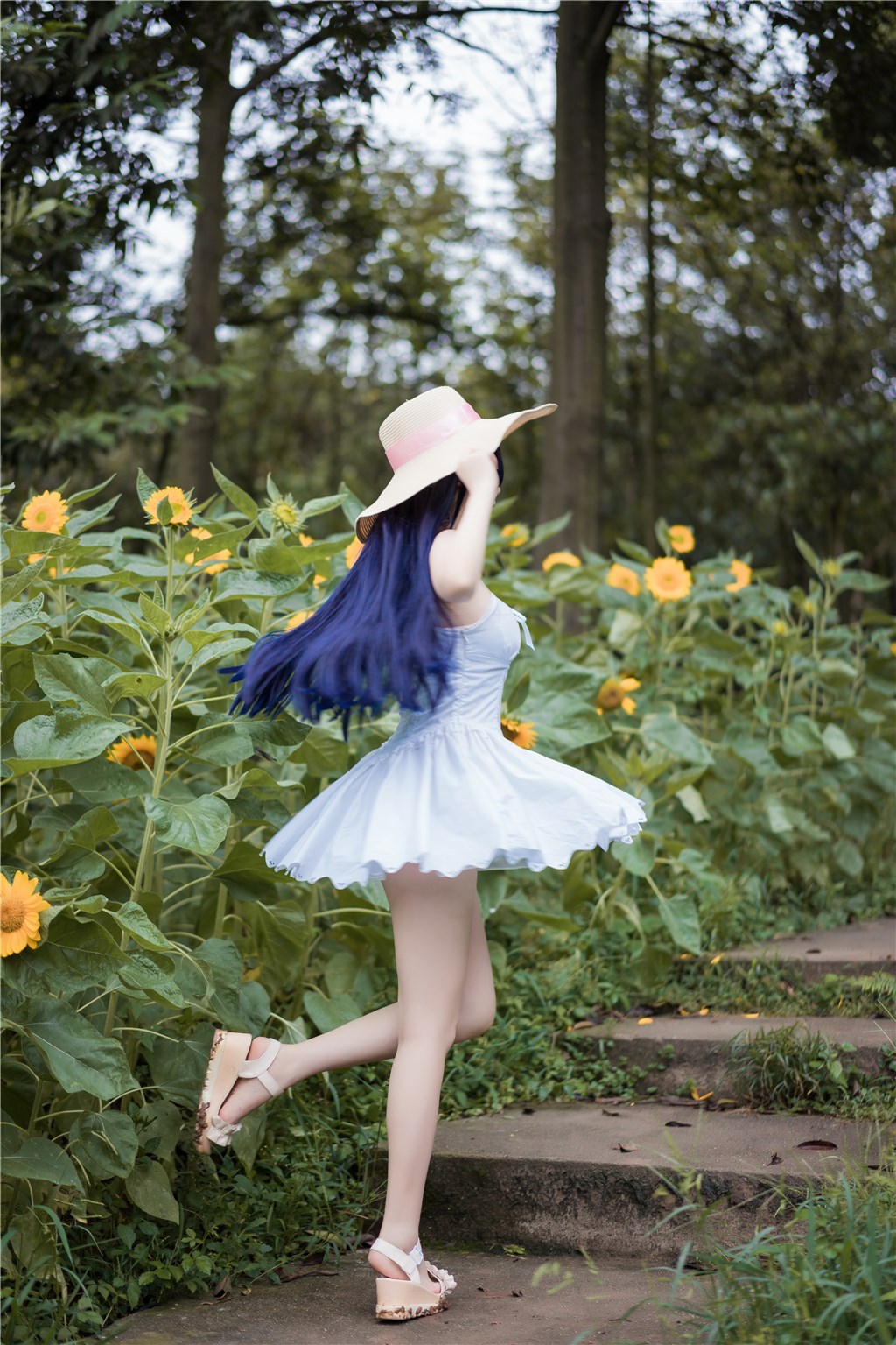 花田里的黑猫妹妹