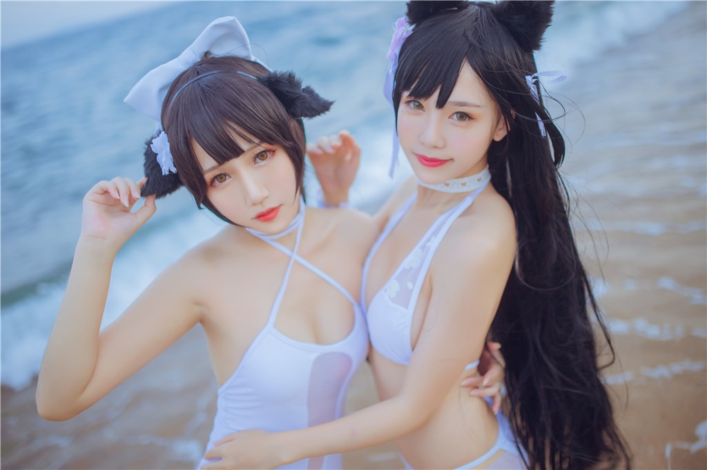 獒犬海边泳装